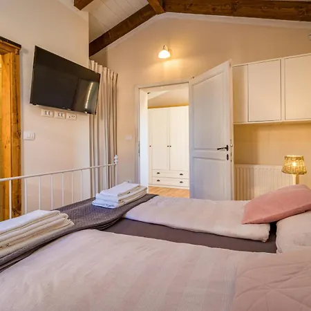 Rajana For 14 Persons With Kids Playground & Pool Heating In Istria Villa